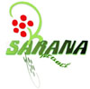 Sarana Export Import Fruit et Legumes