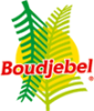 Boudjebel SA Vacpa