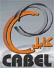 Les Câbleries Electriques d'Alger (CABEL)