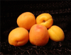 Apricot