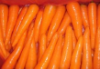 Carrot