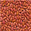 Red Beans