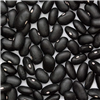 Black Beans