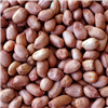 Raw Peanuts