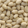 Blanched Peanuts